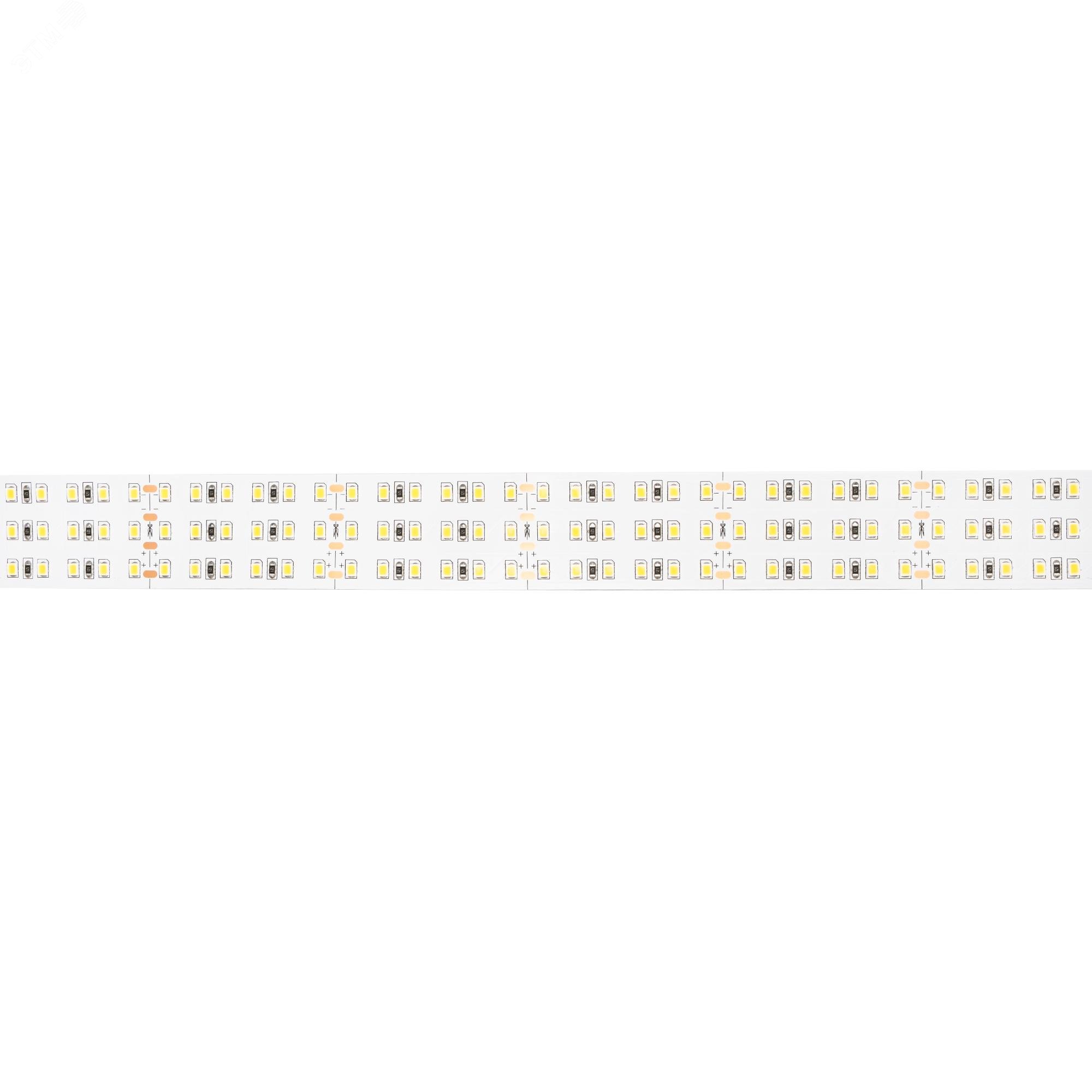 Лента светодиодная PLS PRO 2835/360-24V-30mm 4000К IP20 (уп.5м) Pro+ JazzWay 5052390 - Jazzway