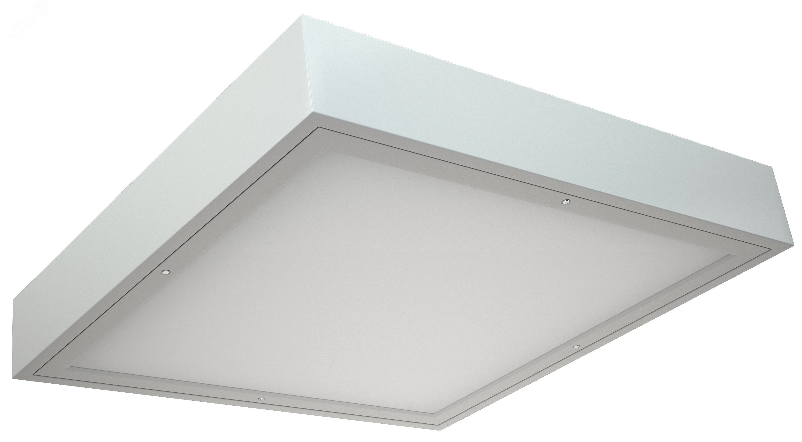 Светильник OWP ECO LED 595 IP54/IP54 EM 4000K mat 1372000230 - Световые Технологии