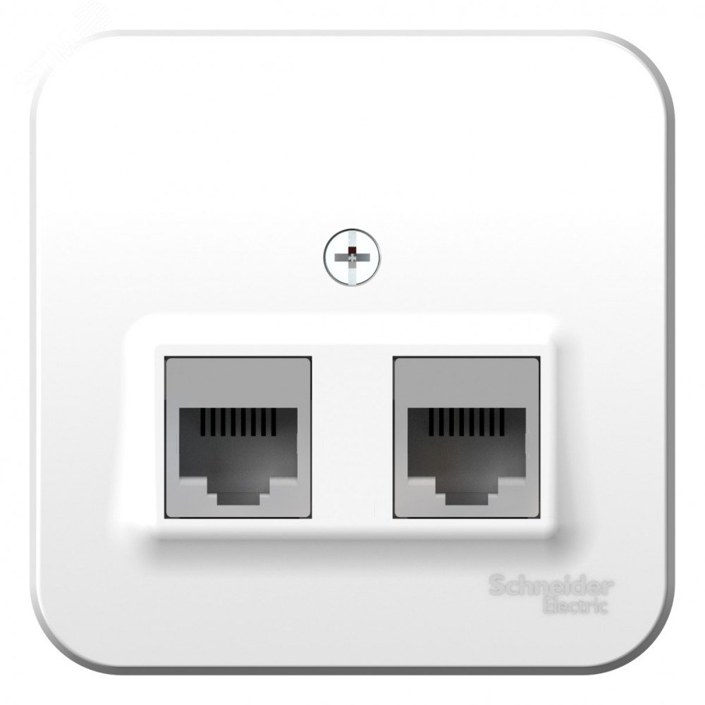 Розетка компьютерная 2-м ОП Blanca RJ45 кат.5E с изолир. пластиной бел. SE BLNIA045451 - Systeme Electric