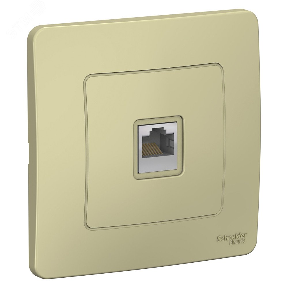 Розетка компьютерная 1-м СП Blanca RJ45 кат.5E беж. SE BLNIS045007 - Systeme Electric