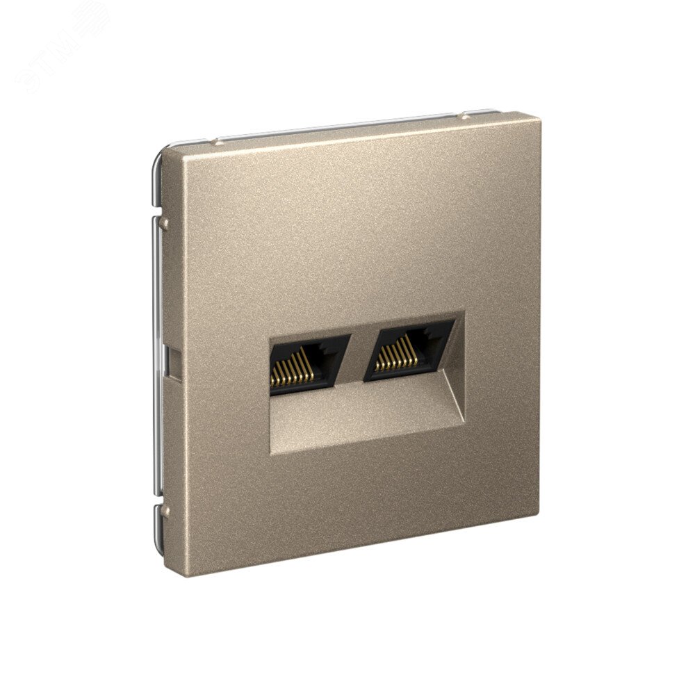 ARTGALLERY РОЗЕТКА двойная компьютерная RJ45+RJ45, кат. 5е, механизм, ШАМПАНЬ GAL000585 - Systeme Electric