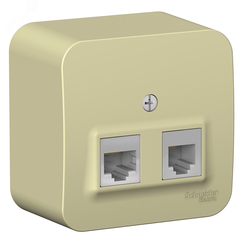 Розетка открытой установки BLANCA двойная, компьютерная RJ45, кат.5E + телефонная RJ11, с изолирующей пластиной, белый, бежевый BLNIA045117 - Systeme Electric