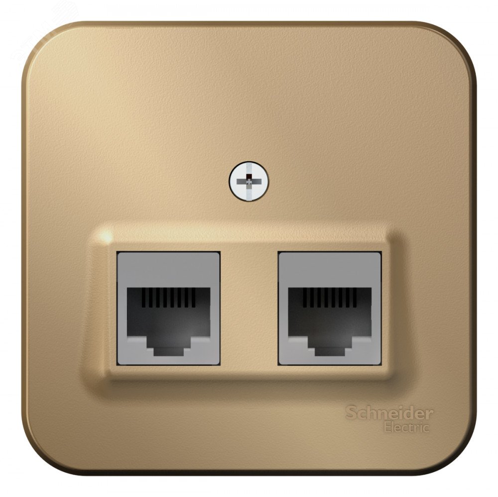 Розетка компьютерная 2-м ОП Blanca RJ45 кат.5E с изолир. пластиной титан SE BLNIA045454 - Systeme Electric