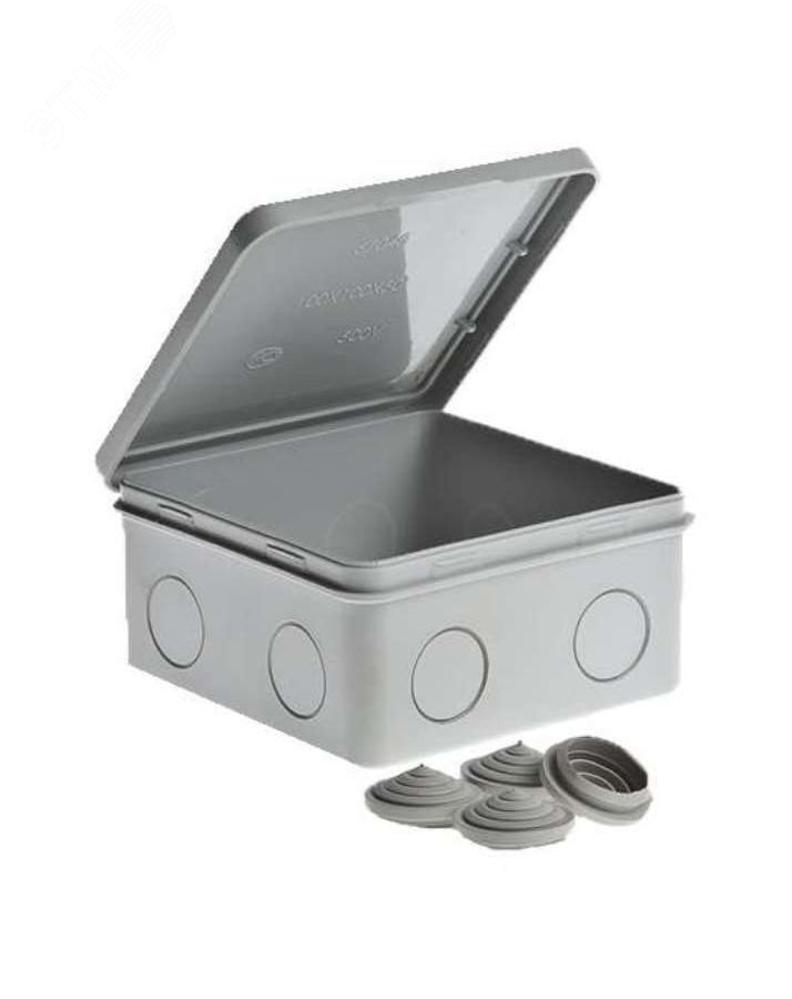 Коробка ОП Тусо распаячная 100х100х50мм откид. крышка IP54 67044 - Ruvinil