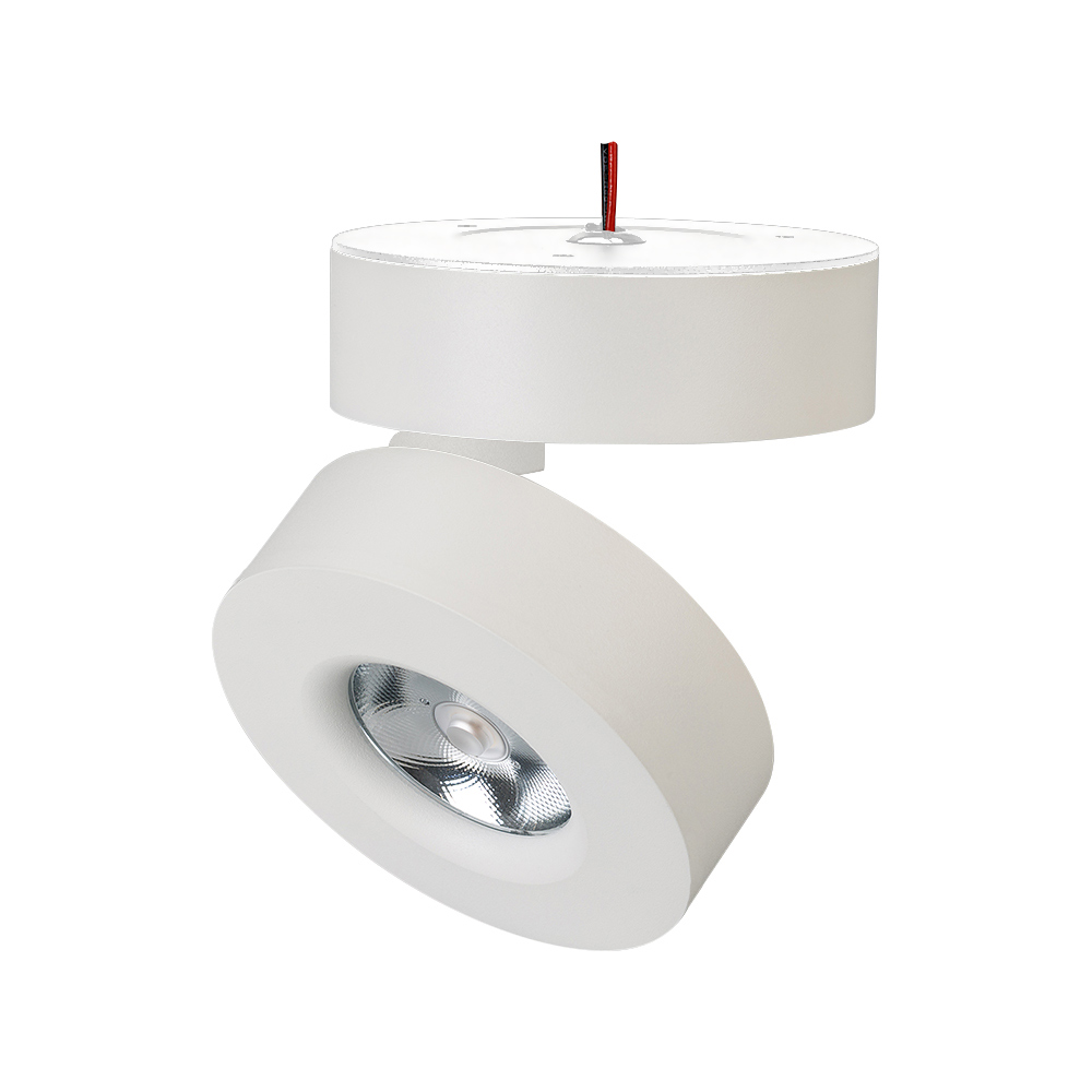 Светильник SP-MONA-SURFACE-R100-12W Warm3000 (WH, 24 deg) 025440(1) - Arlight