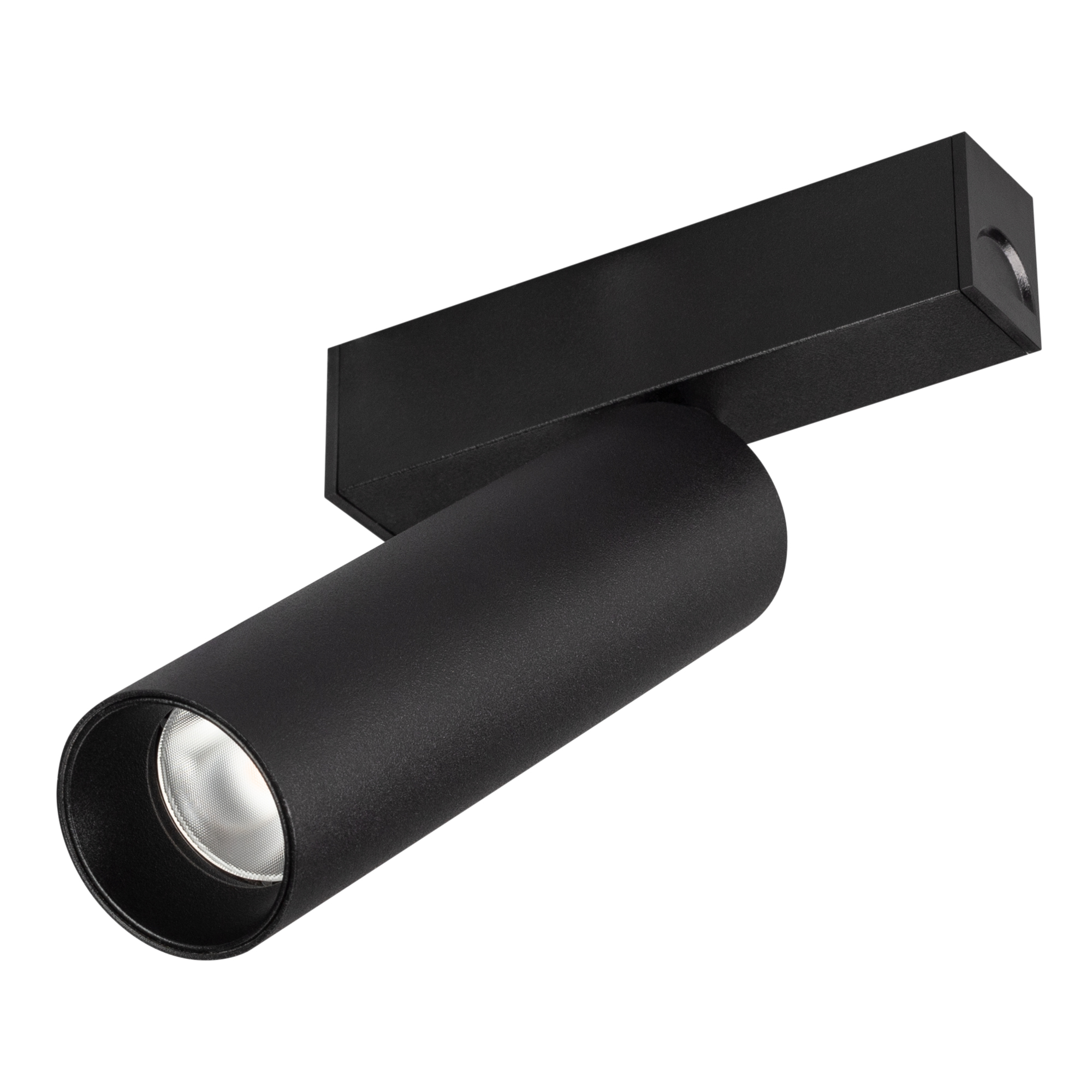 Светильник MAG-SPOT-25-R120-12W Day4000 (BK, 30 deg, 24V, DALI) 046320 - Arlight