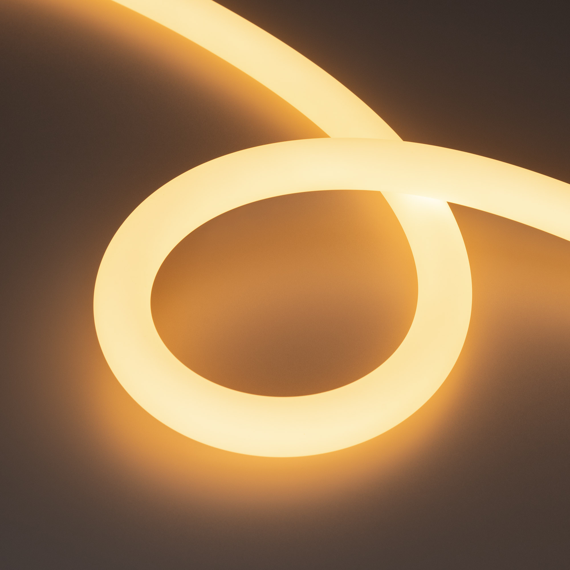 Купить Лента герметичная MOONLIGHT-SIDE-A336-D25mm 24V Warm2700 360deg (14.4 W/m, IP65, 2835, 5m, wire x1) 038749 Arlight оптом в Москве