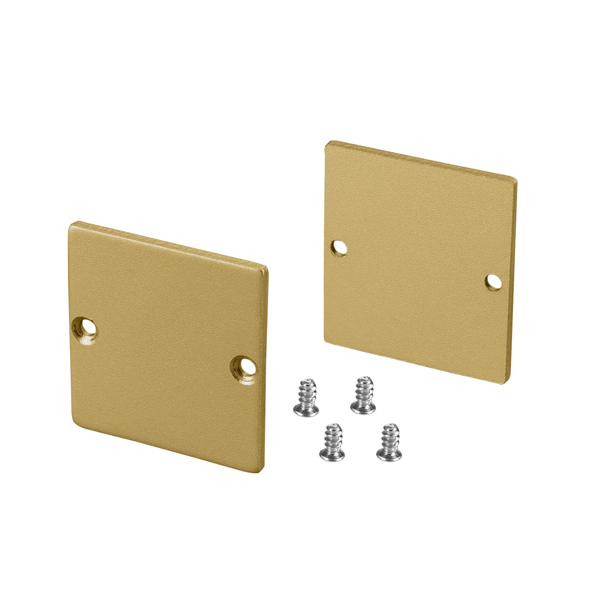 Заглушка SL-LINE-3638-LW GOLD глухая 039983 - Arlight