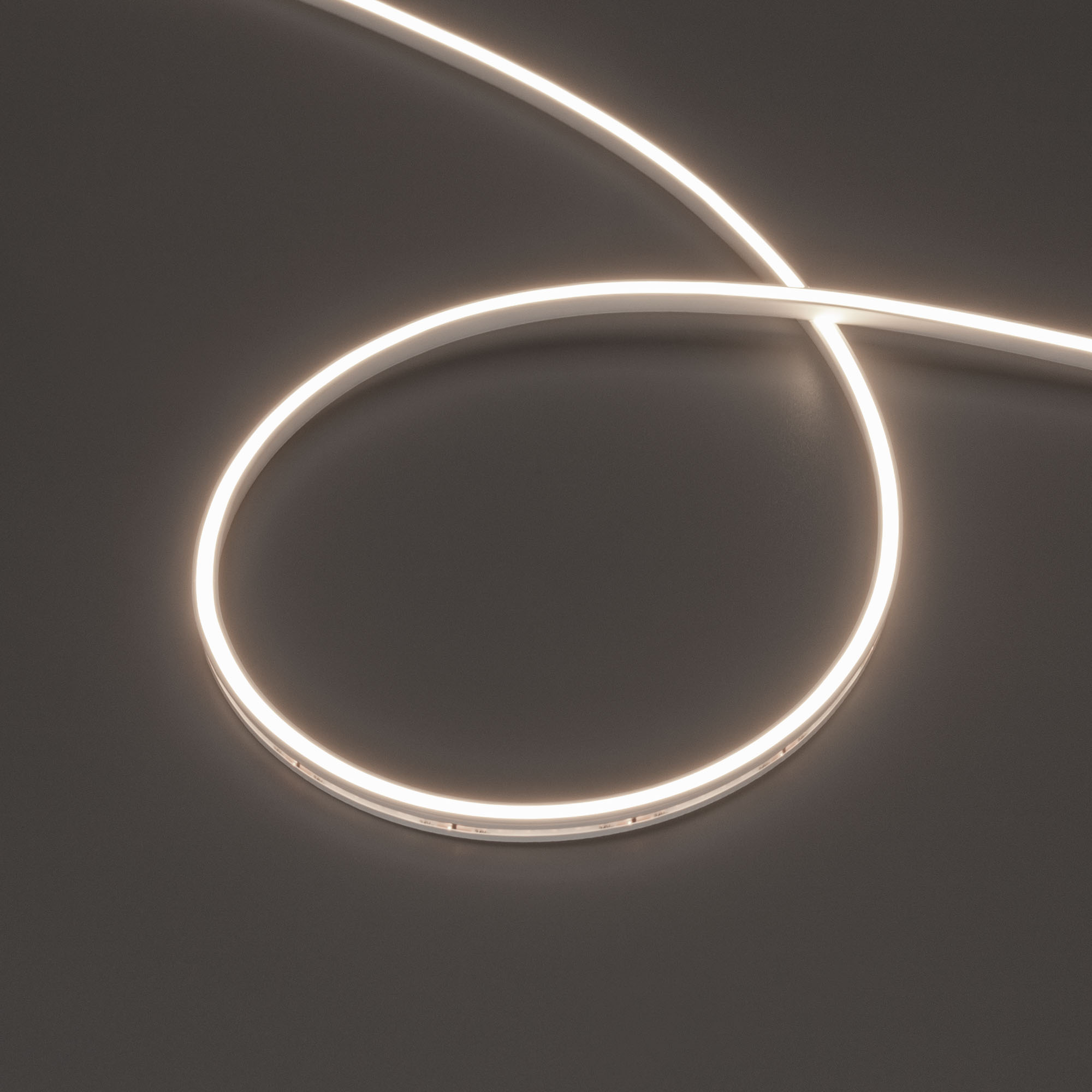 Лента герметичная MOONLIGHT-SIDE-T-M196-03x06mm 24V Day4000 (7.2 W/m, IP54, 2216, 5m, wire x2) 039569 - Arlight