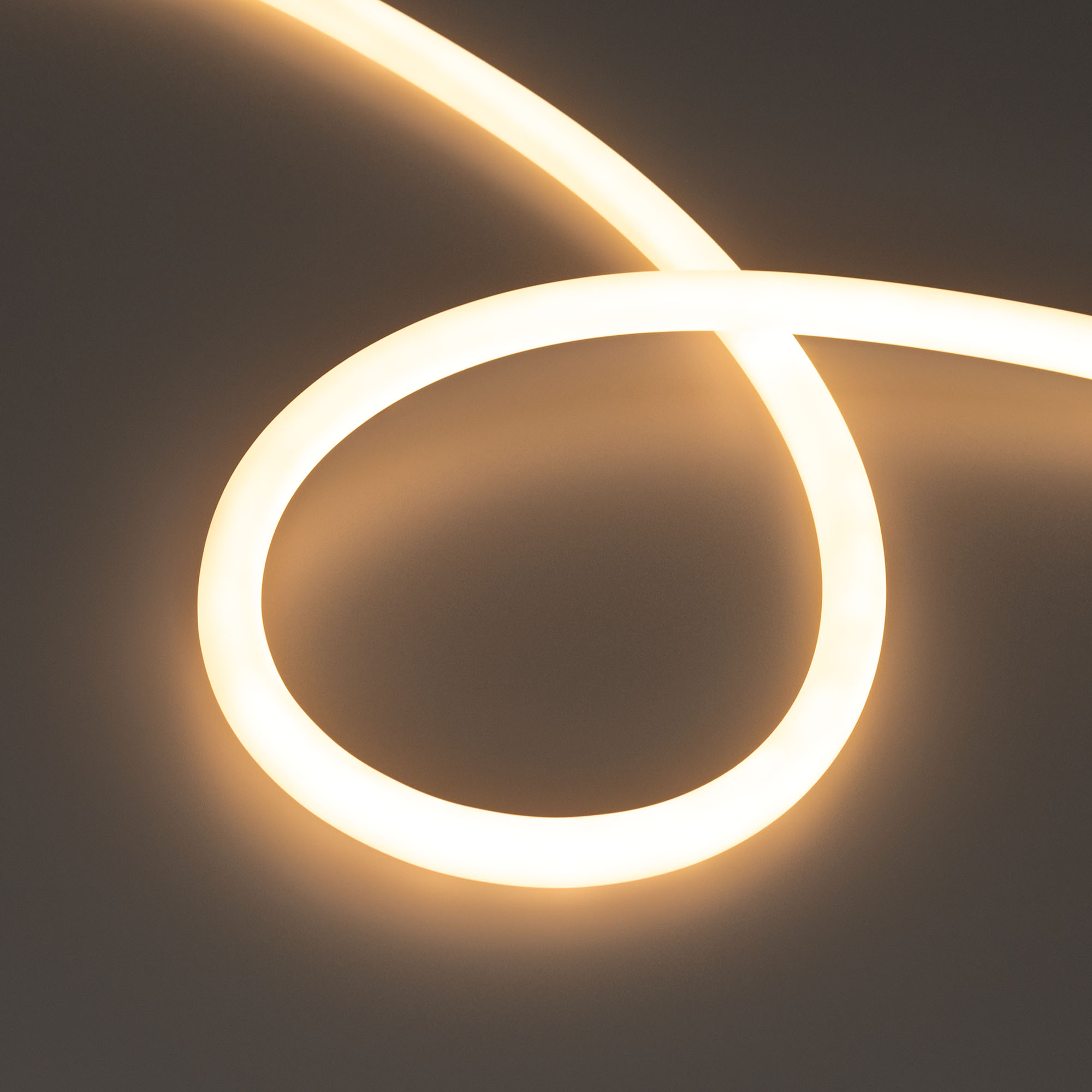 Купить Лента герметичная MOONLIGHT-TOP-M560-D13mm 24V Warm2700 360deg (8.6 W/m, IP65, 5m, wire x1) 039552 Arlight оптом в Москве