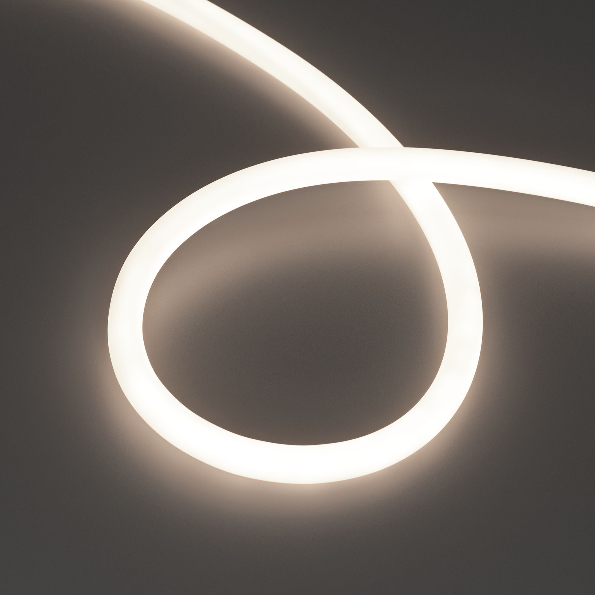 Лента герметичная MOONLIGHT-TOP-S-M560-D13mm 24V Day4300 (13 W/m, IP65, 5m, wire x1, трос) 043817 - Arlight