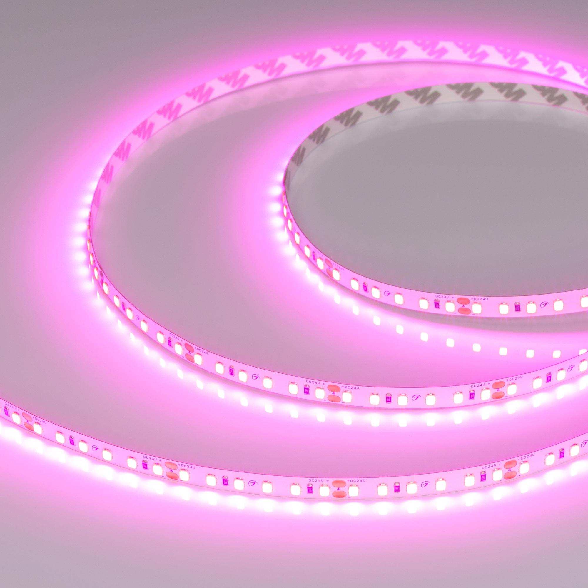 Лента RT-A120-8mm 24V Magenta (9.6 W/m, IP20, 2835, 5m) 043381 - Arlight