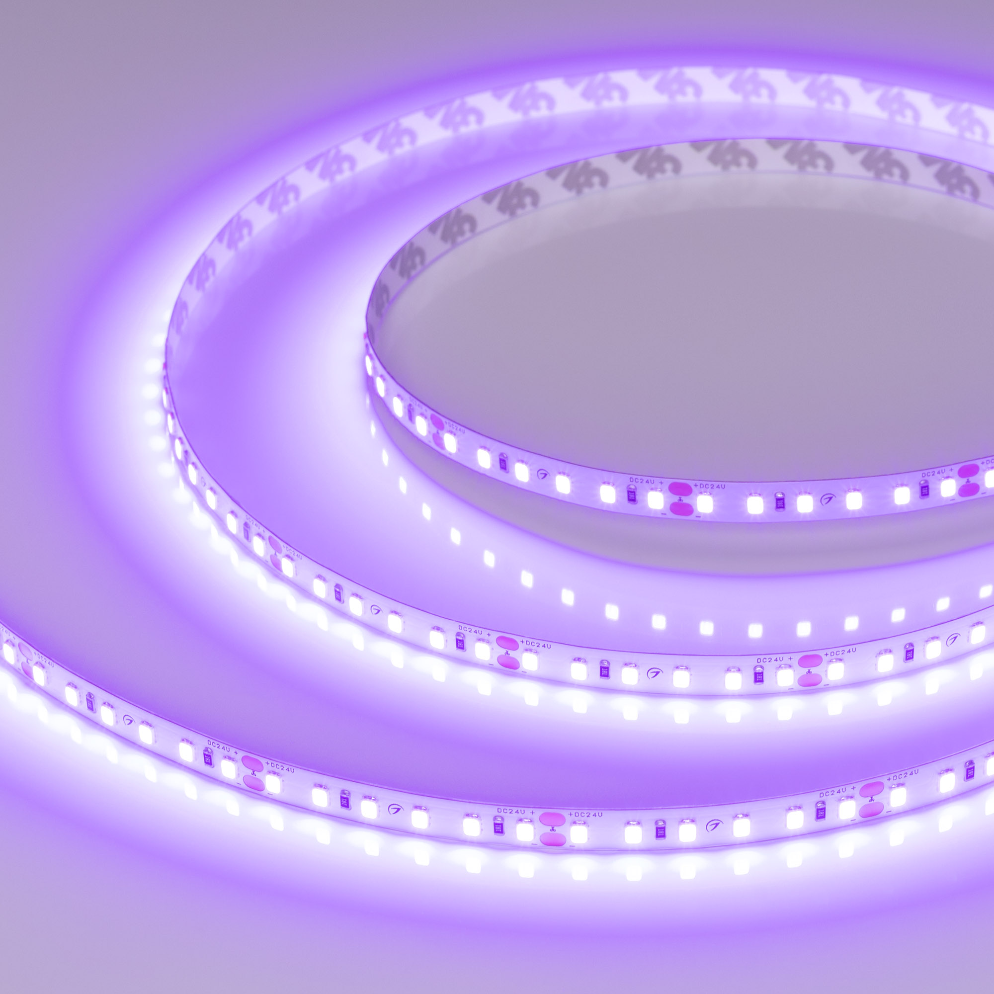 Лента RT-A120-8mm 24V Violet (9.6 W/m, IP20, 2835, 5m) 043384 - Arlight