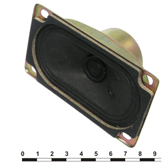 DXYD5090N-A 8OHM 5W - RUICHI