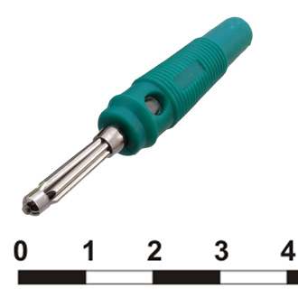 10-0076 GREEN - RUICHI