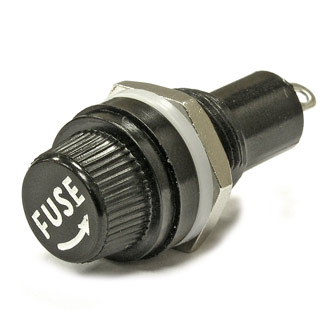 ДВП4-2 (5X20 10A 250V) - RUICHI