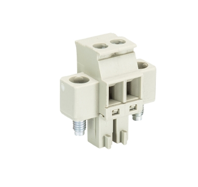 Розетка Wiecon 8813 B / 2 VR OB - Wieland Electric