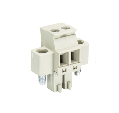 Розетка Wiecon 8813 B / 2 VR F OB - Wieland Electric