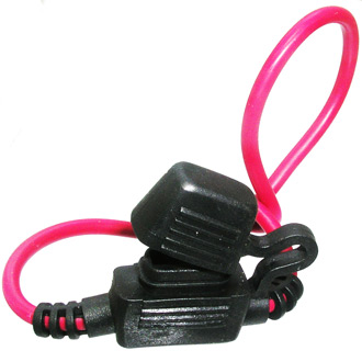 S1038-8 - RUICHI