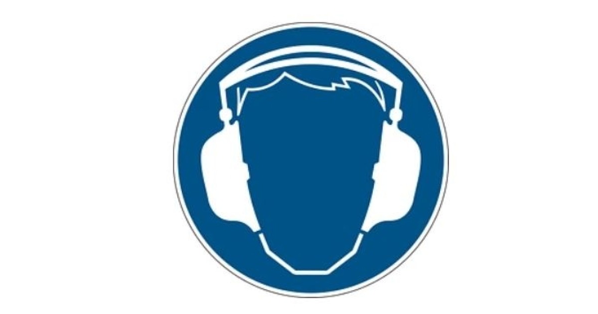 Купить gws223645 BRADY оптом в Москве