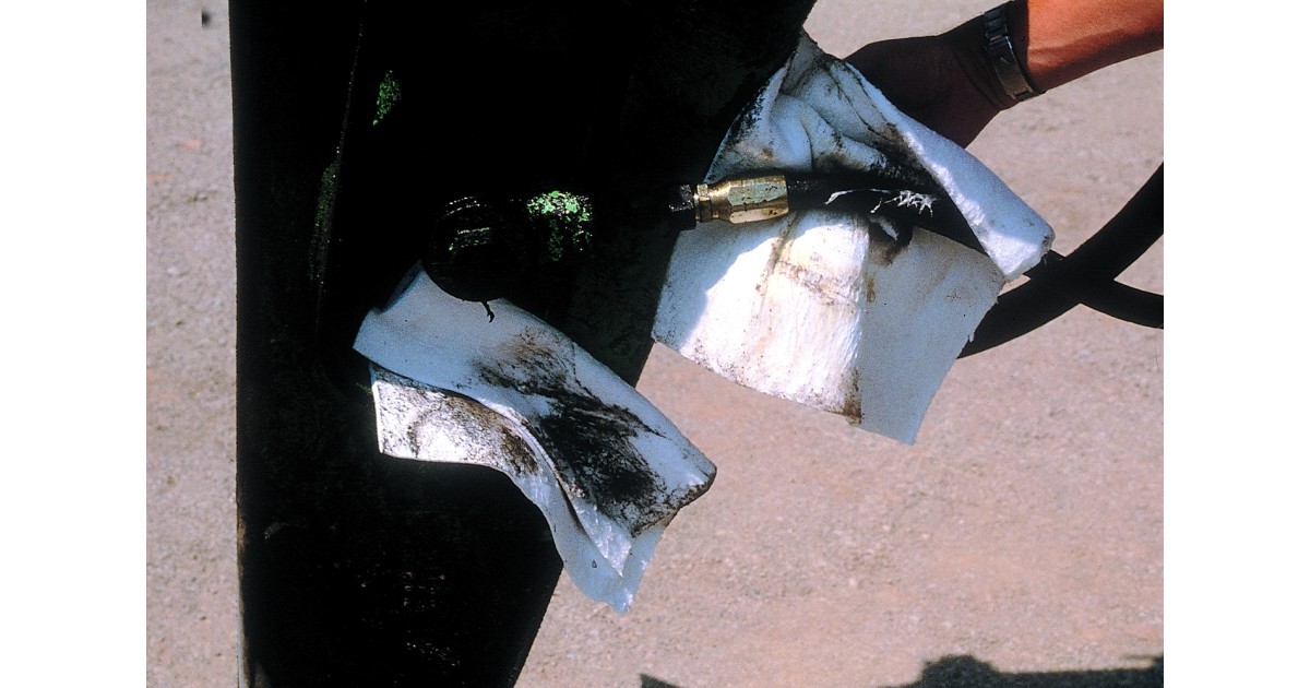 Купить spc813744 BRADY оптом в Москве