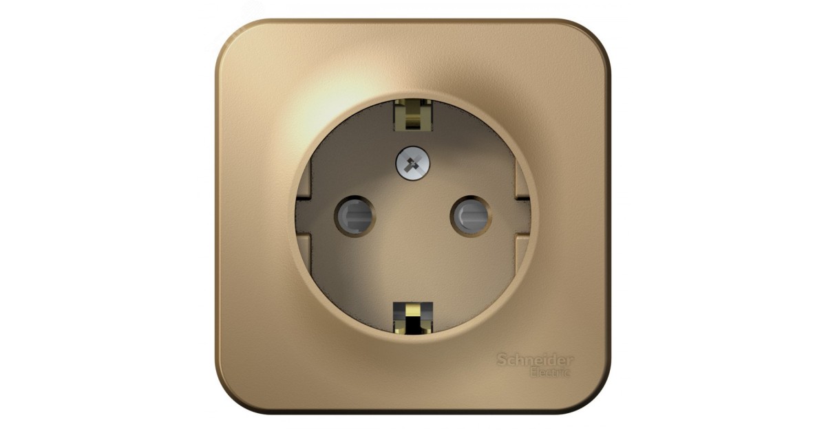 Купить Розетка 1-м ОП Blanca 16А IP20 250В с заземл. защ. шторки с изолир. пластиной титан SE BLNRA011114 Systeme Electric оптом в Москве
