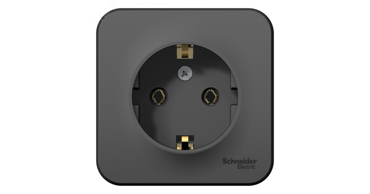 Купить BLANCA О/У РОЗЕТКА с заземлением без шторок, 16А, 250В, АНТРАЦИТ BLNRA010106 Systeme Electric оптом в Москве