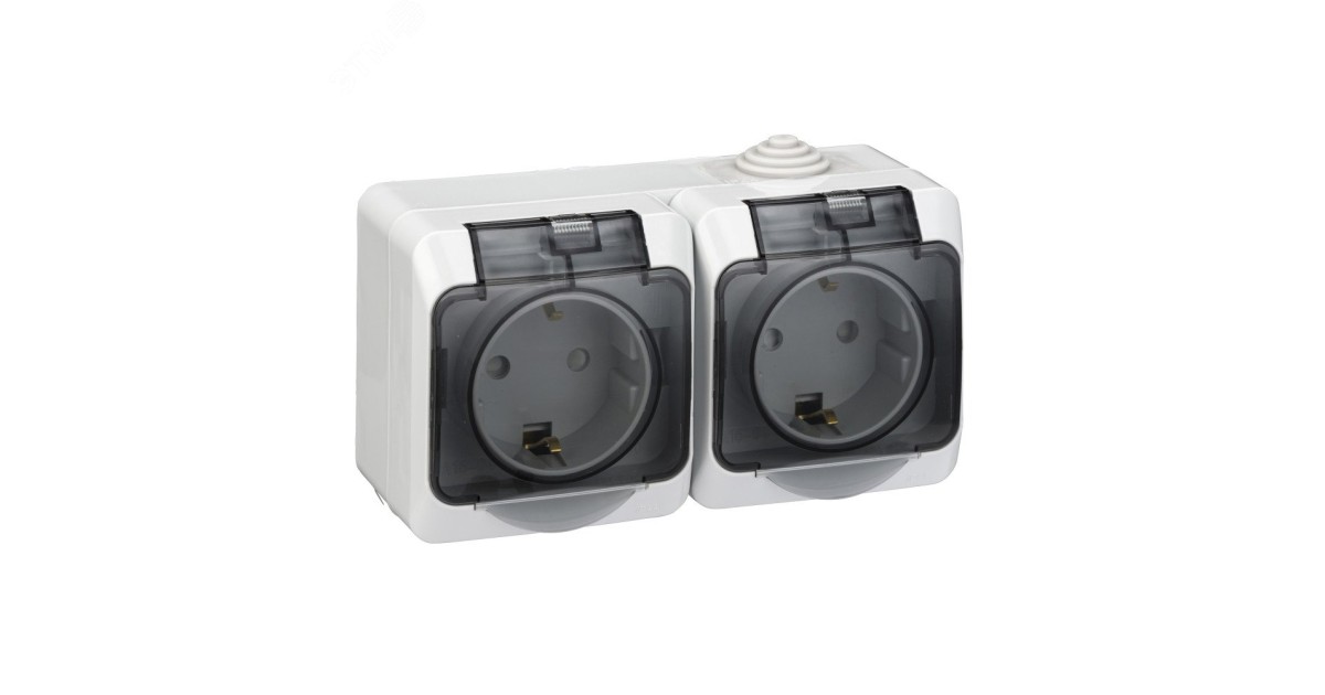 Купить Розетка 2-м ОП Этюд 16А IP44 250В с заземл. защ. шторки сер. SE PA16-244C Systeme Electric оптом в Москве