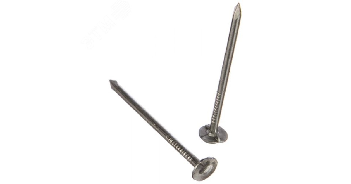 Купить Гвоздь толевый евро 3.0х50 оцинкованный (200г) 102042 Tech-KREP оптом в Москве