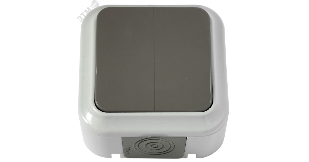 Купить Беларусь Выключатель двухклавишный IP54 наружный А5 6-224 (03) Выключатель А5 6-224(03) Белтиз оптом в Москве