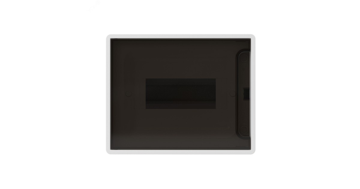 Купить Щит 8 мод настенный, белый, с тонированной дверцей, с 1 шиной PEN на 8 отв. F08W1WD DKC оптом в Москве