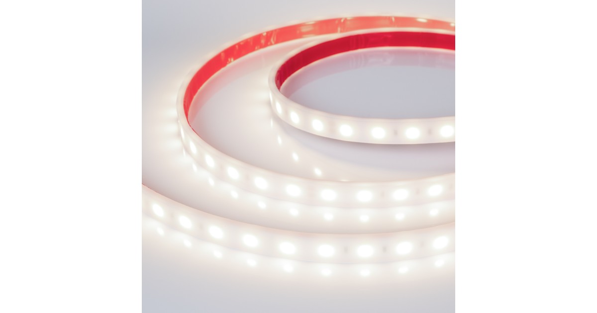 Купить Лента герметичная RTW-PW-B60-13mm 24V Day4000 (14.4 W/m, IP66, 5060, 5m) 016181(2) Arlight оптом в Москве