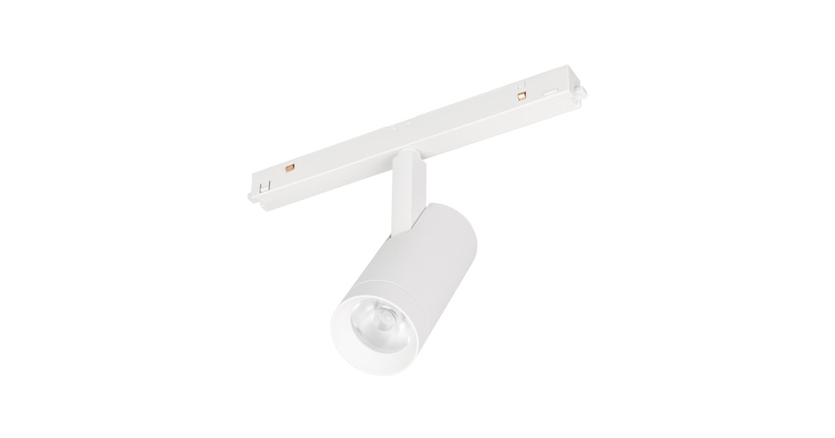 Купить Светильник MAG-ORIENT-SPOT-R45-12W Day4000 (WH, 24 deg, 48V, DALI) 035873 Arlight оптом в Москве