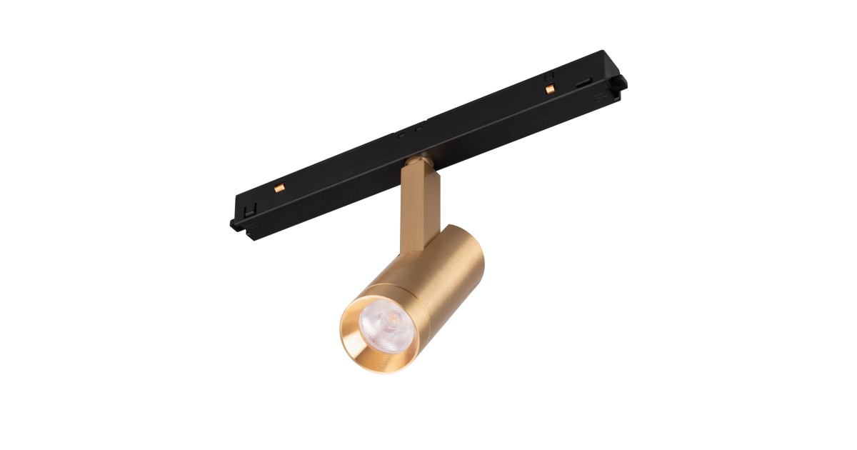 Купить Светильник MAG-ORIENT-SPOT-R35-6W Warm3000 (GD, 24 deg, 48V) 040887 Arlight оптом в Москве