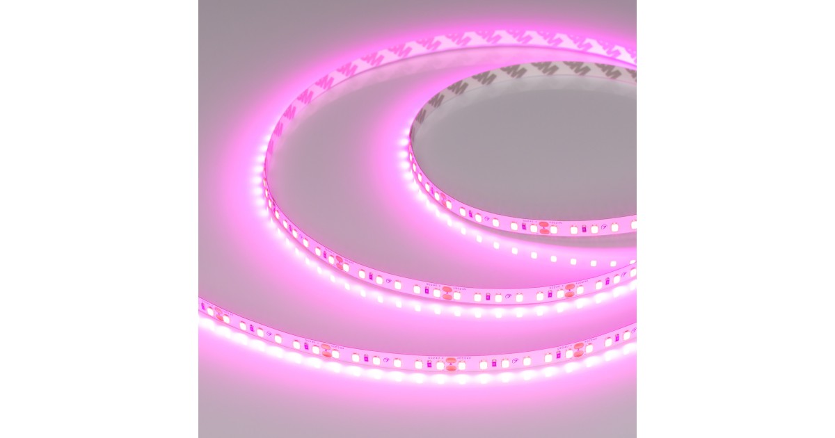 Купить Лента RT-A120-8mm 24V Magenta (9.6 W/m, IP20, 2835, 5m) 043381 Arlight оптом в Москве