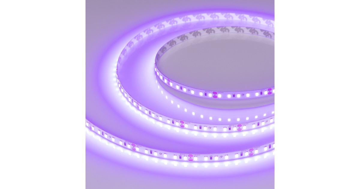 Купить Лента RT-A120-8mm 24V Violet (9.6 W/m, IP20, 2835, 5m) 043384 Arlight оптом в Москве