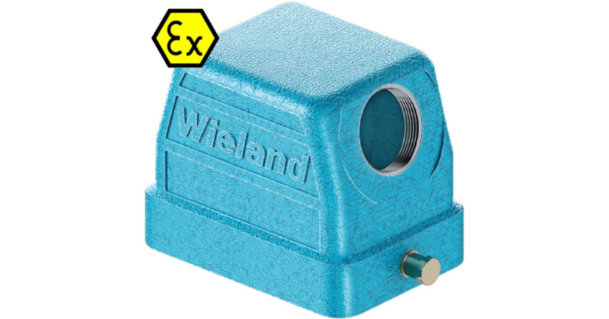 Купить Крышка разъема Ex 70.353.0636.1 Wieland Electric оптом в Москве