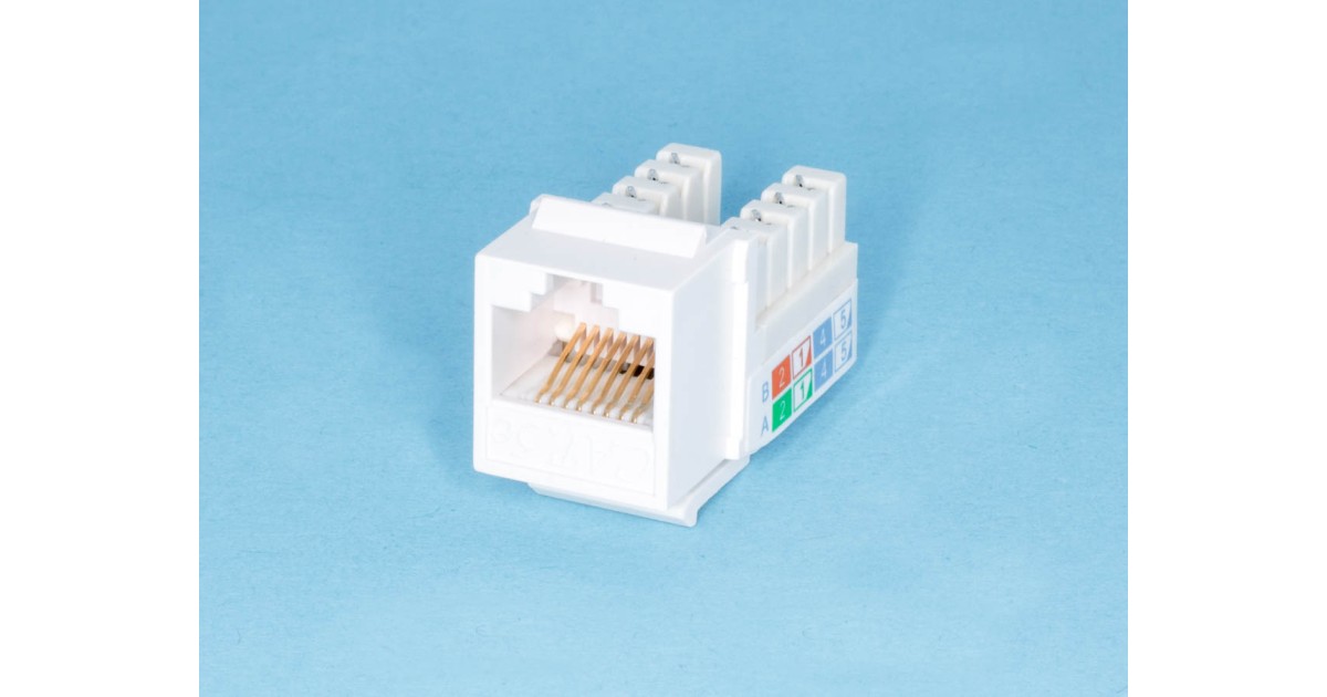 Купить EKTN-D-04 BrownBear оптом в Москве