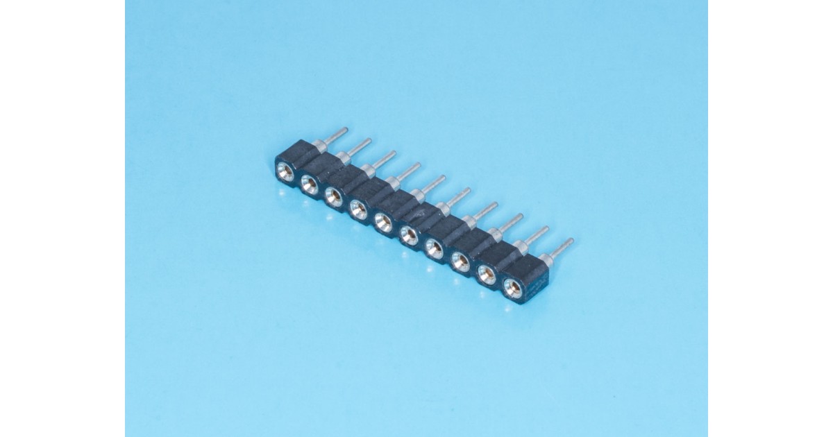 Купить SCSL-10 BrownBear оптом в Москве