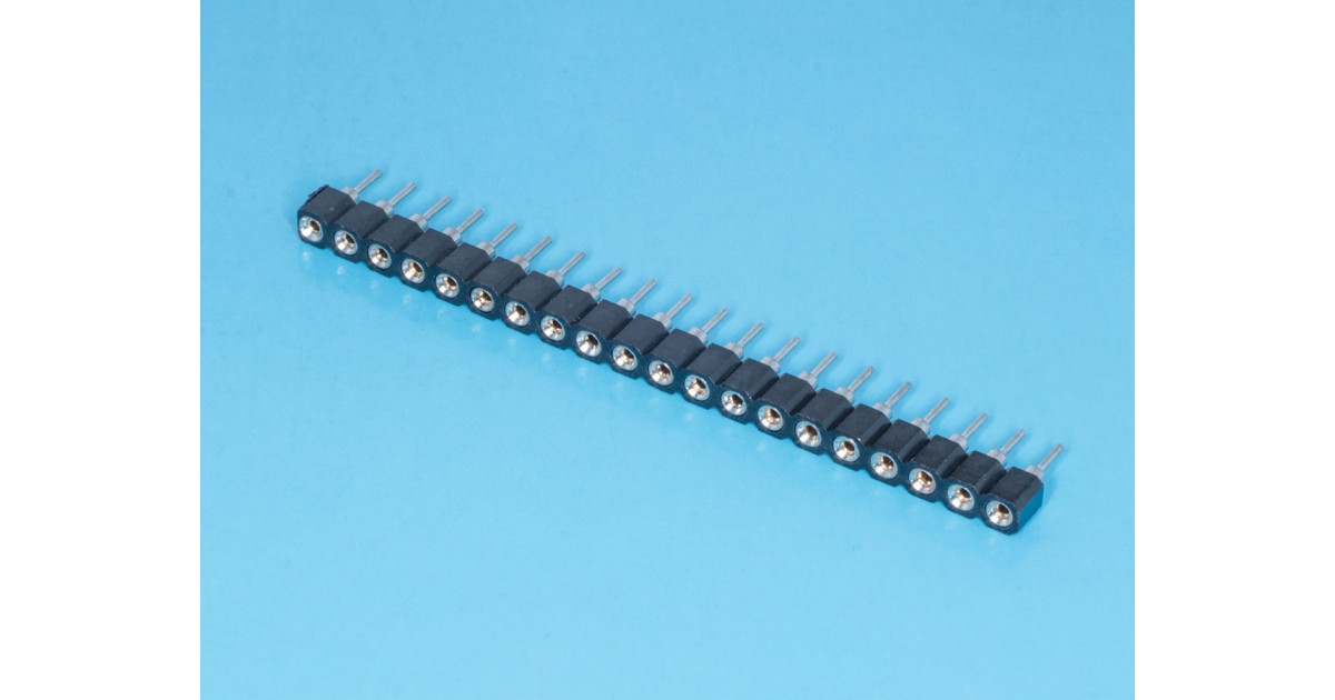 Купить SCSL-20 BrownBear оптом в Москве