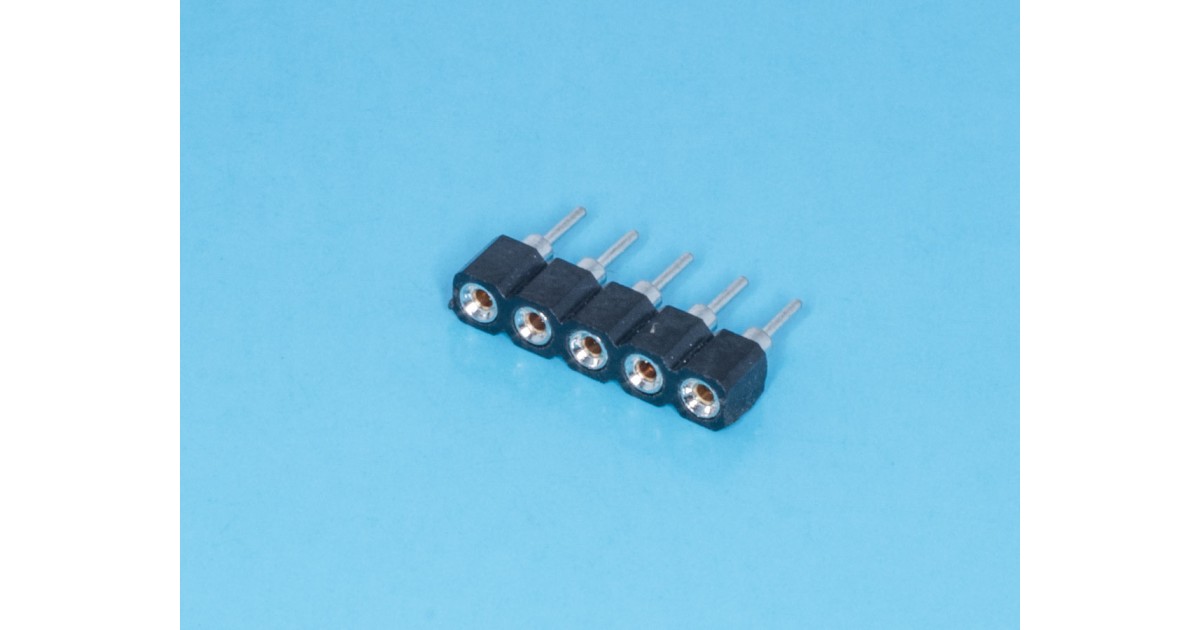 Купить SCSL-5 BrownBear оптом в Москве