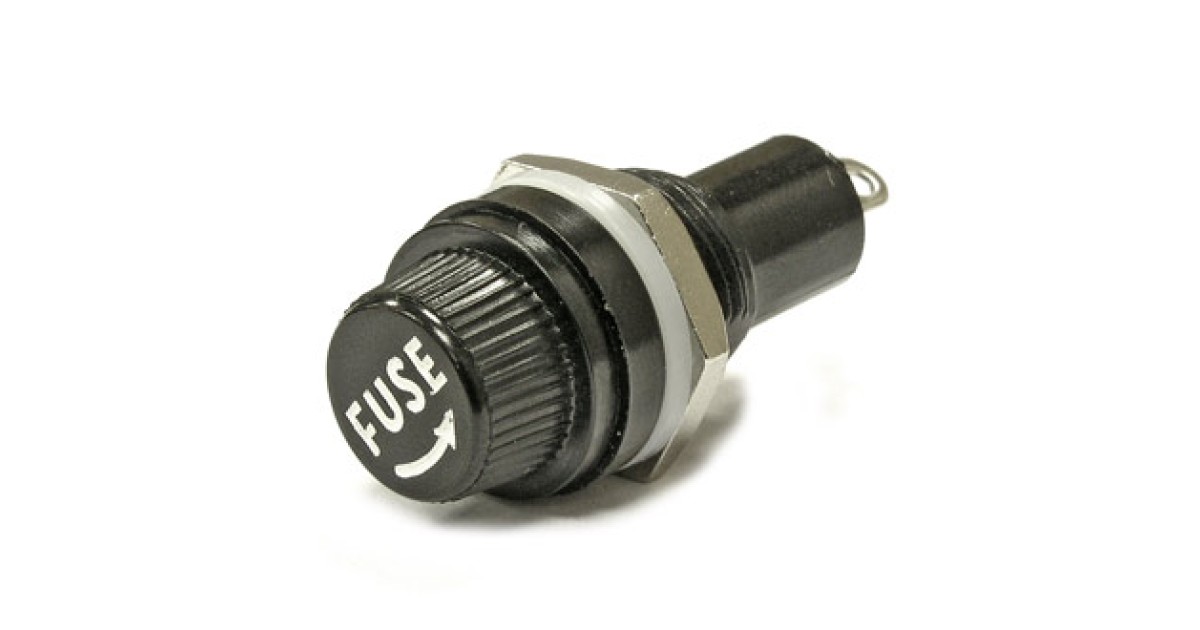 Купить ДВП4-2 (5X20 10A 250V) RUICHI оптом в Москве