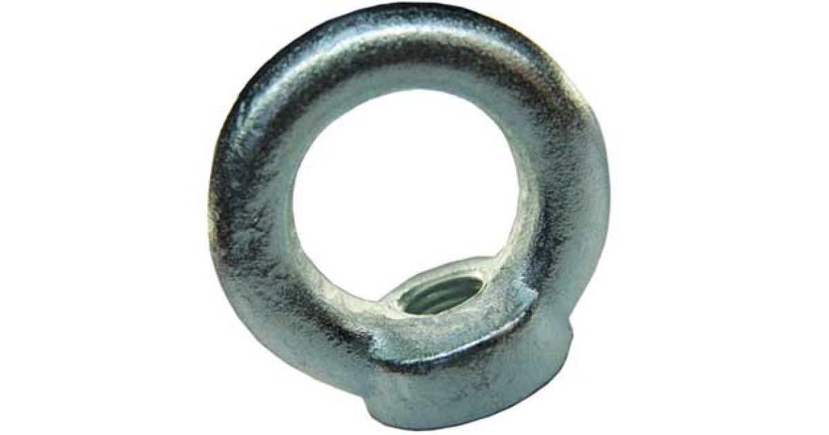 Купить РЫМ-ГАЙКА DIN 582 М6 RUICHI оптом в Москве