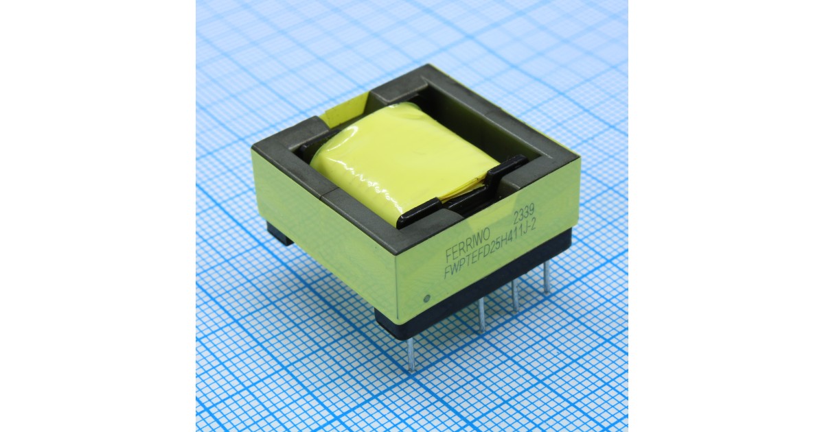 Купить FWPTEFD25H411J-2 FERRIWO оптом в Москве