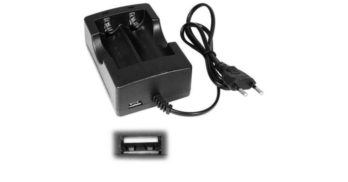 Купить SA-18650X2 RUICHI оптом в Москве